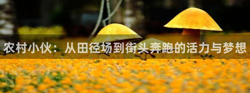 农村小伙：从田径场到街头奔跑的活力与梦想